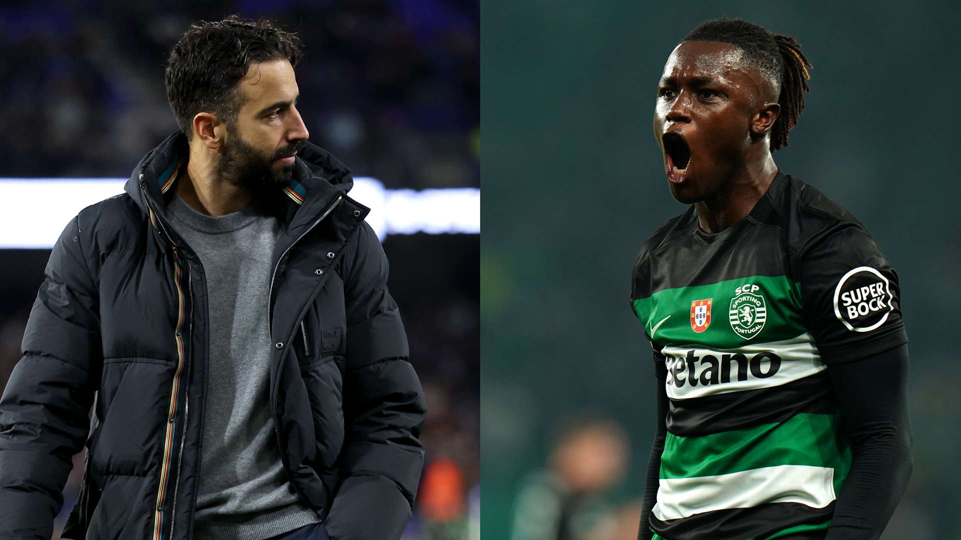 仅是对他们 仅是对他们